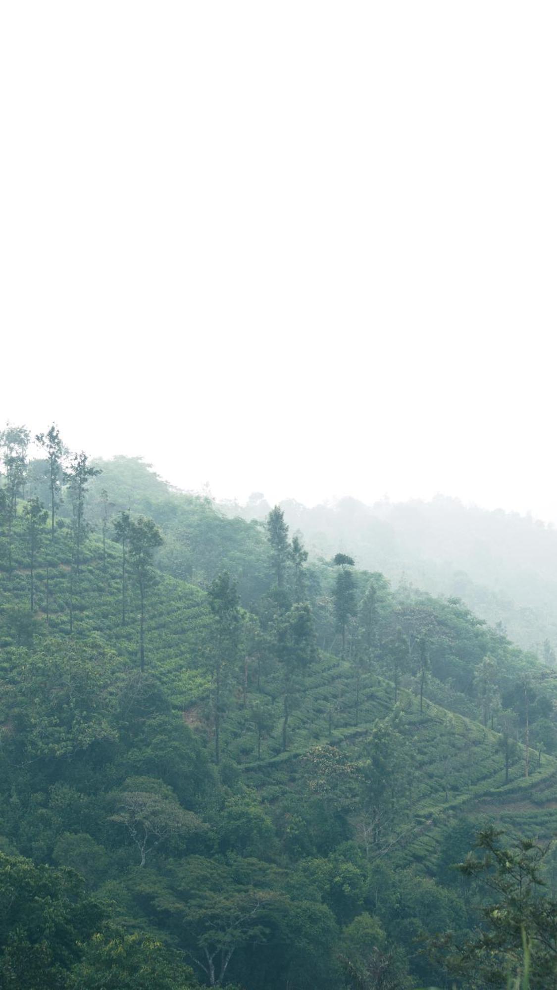 Casa Oliv, Vagamon Villa Екстериор снимка